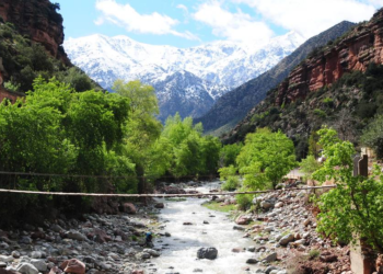 Excursion d’une journée dans la vallée d’Ourika et les montagnes de l’Atlas